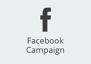 Picture of Facebook Campaign